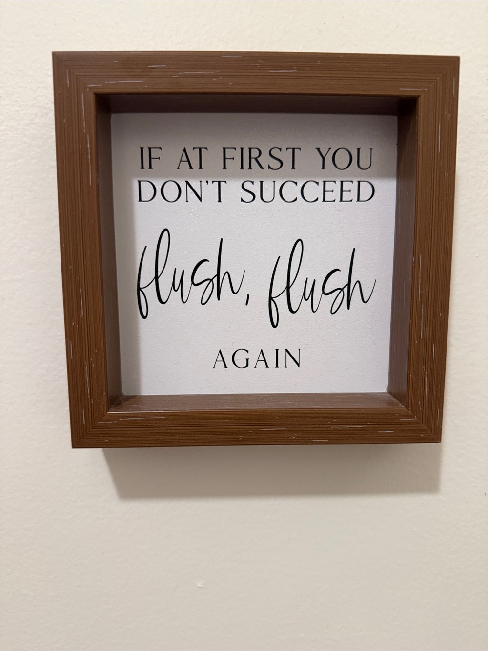 Brown frame 'if at first you don’t succeed Flush, Flush Again' Wall Sign